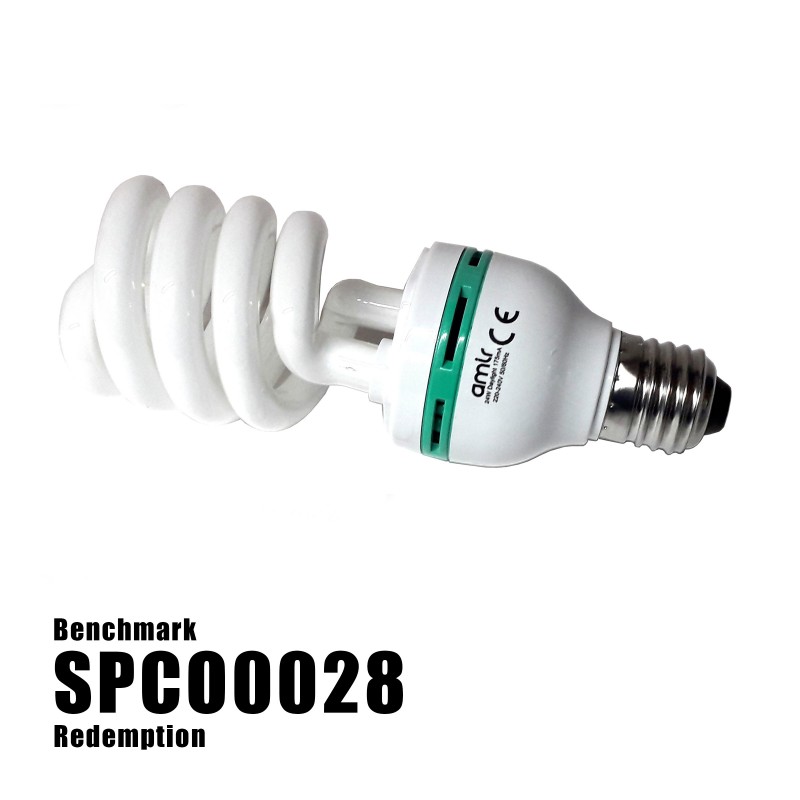 20W SES Energy Saver Lamps